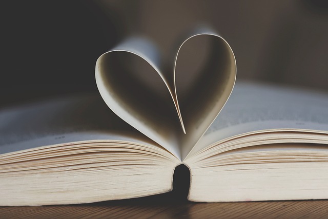 Unesco Dünya Kitap Başkenti Neresidir? Unesco Dünya Kitap Başkenti Neresidir?